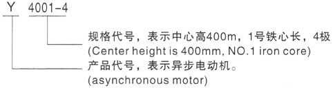 西安泰富西玛Y系列(H355-1000)高压YJTFKK4004-2/400KW三相异步电机型号说明